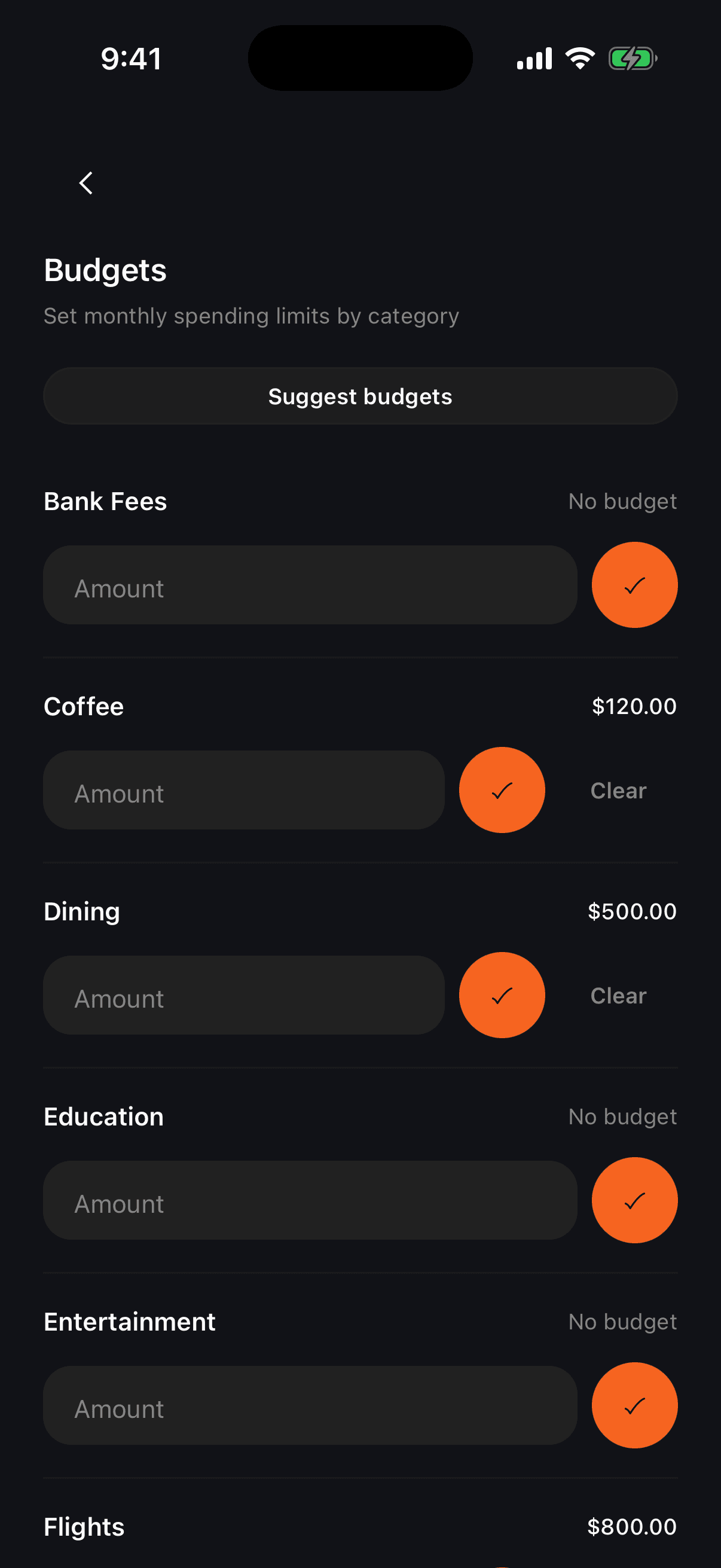 Tally budgets planning surface